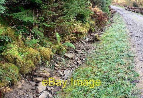 Photo 6x4 drainage - gully, on