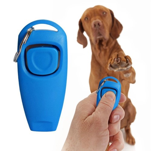 Dog training obedience - &,