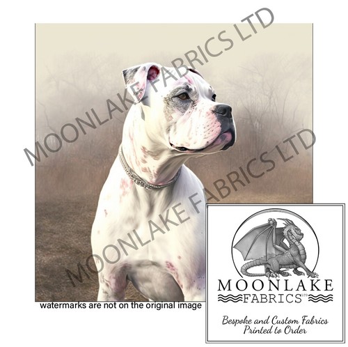 White boxer dog - white,