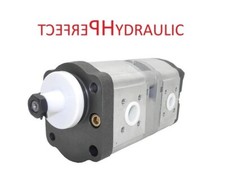 Hydraulic pump G380940010110