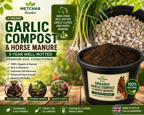Organic garlic compost well - garlic,