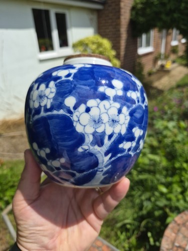 Superb antique chinese prunus - antique,