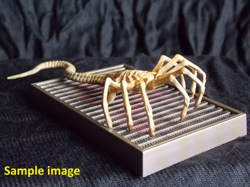 New konami alien facehugger - ⭐new,