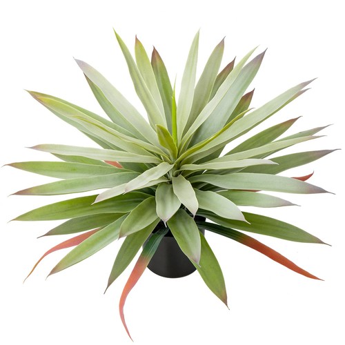Large fake agave plant 3 - large,