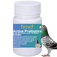 Probiotic 20 Billion Powder