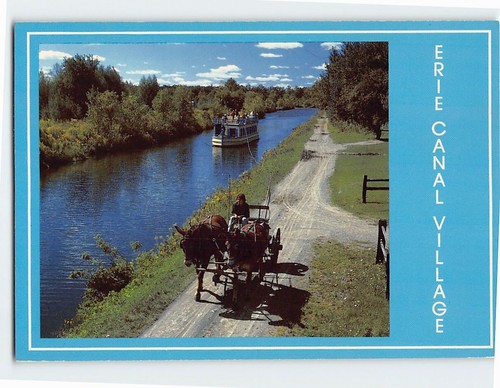 Postcard the packet - postcard,