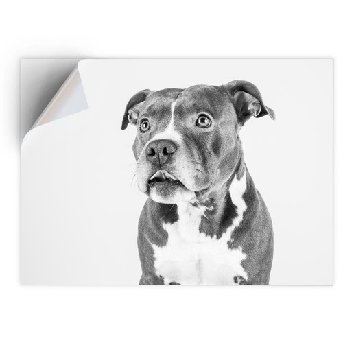 Vinyl sticker bw - vinyl, a4