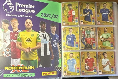 Panini adrenalyn premier - panini, xl