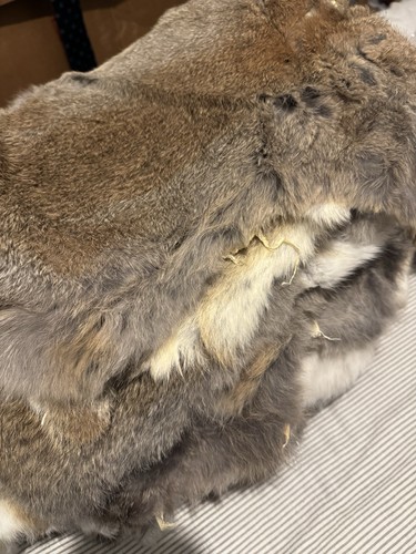 Job lot rabbit skins - job,