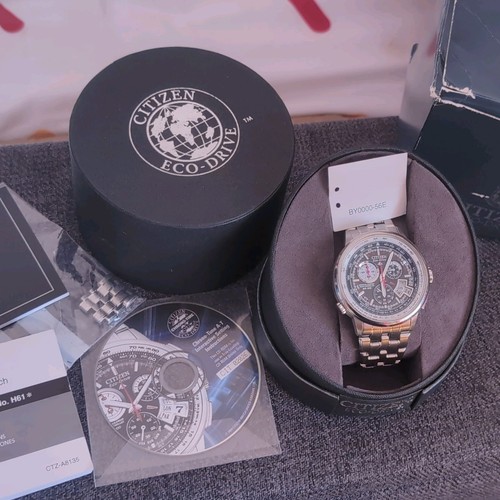 Citizen eco drive perpetual - citizen,
