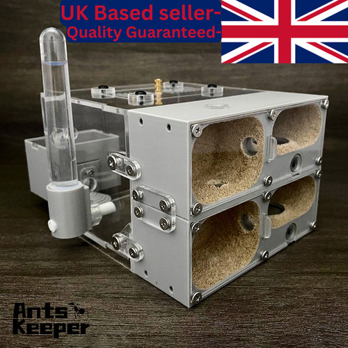 Ultra high quality ant farm - ultra-high-quality,