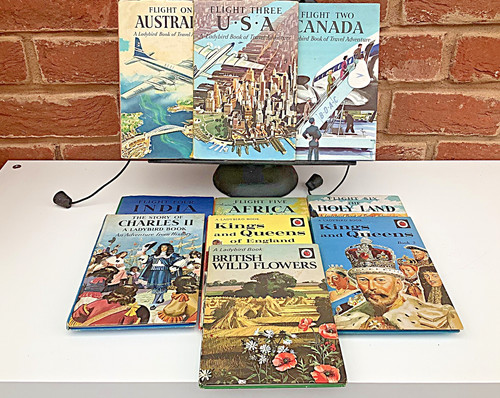 Used vintage ladybird - vintage,