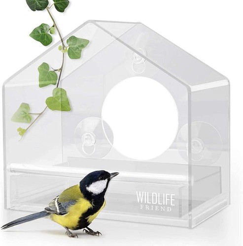 Clear acrylic window - clear, bird