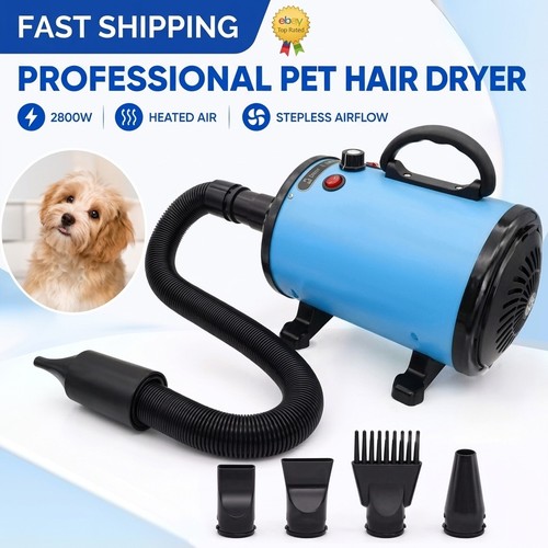 2000w dog dryer grooming - dog,