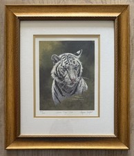 Stephen Gayford 'White Tiger