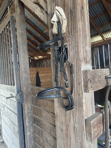 Vespucci bridle black full - vespucci,