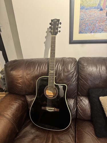 Eko electro acoustic guitar - eko,