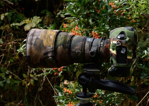Sigma 300mm hsm - f2.8,