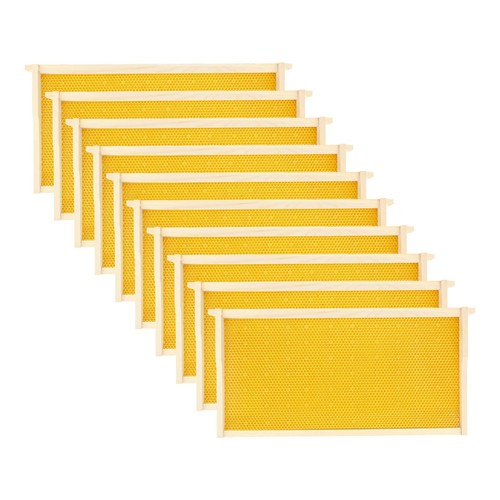 Pollibee deep brood - pollibee, hive