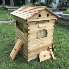 7PCS Auto Honey Bee Hive Frames+Double Beehive Beekeeping Brood House Box UK
