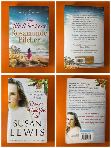 Susan lewis rosamunde pilcher - lewis/rosamunde,