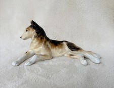 English BONE China COLLIE
