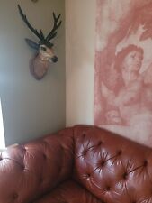 Antique Vintage Ceramic plaster stag deer animal head taxidermy Natural History 