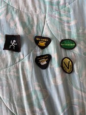 Girl guide brownie badges - brownie,