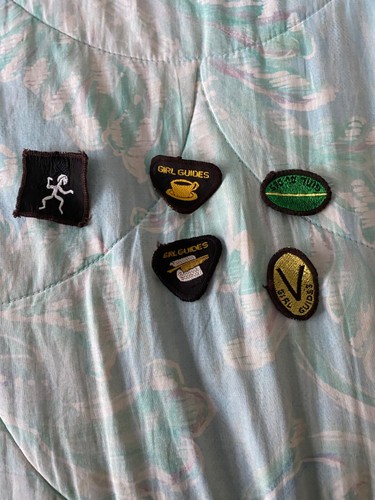 Girl guide brownie - guide, badges