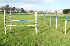 Dog Agility Equipment Set 2