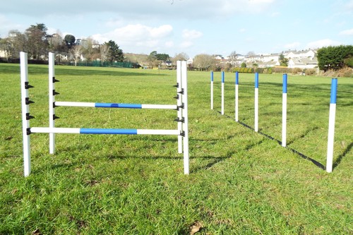 Dog agility equipment - dog, set
