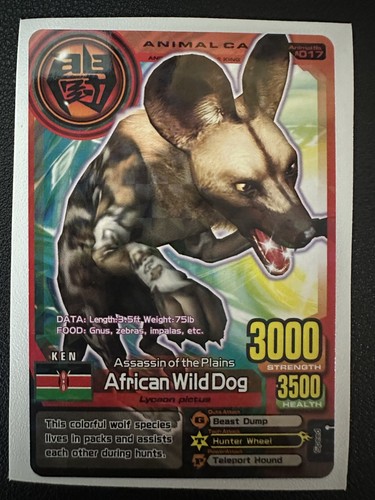 Animal kaiser plus - animal, version