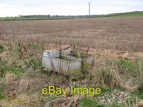 Photo 6x4 galvanised cattle - 6x4,