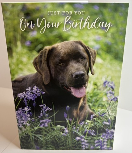 Cute puppy open birthday card - open,