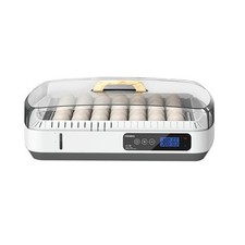 35 Automatic Digital Eggs