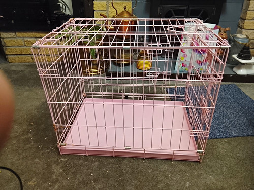 Pink folding steel - folding, dog