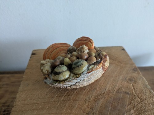 Mid century hand crafted - crafted, sea