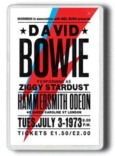 DAVID BOWIE MAGNET!1973 DAVID