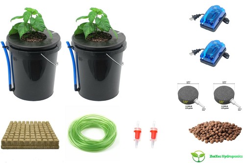 Deep water culture dwc - deep,
