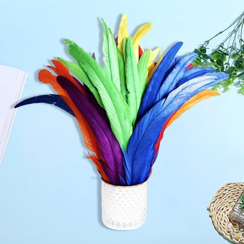 Long rooster tail feathers - rooster,