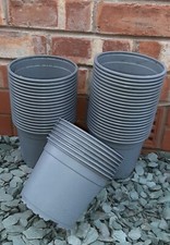 Plant pots used 2 litre - plant, 50