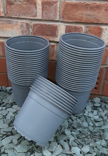 Plant pots used - pots,, 2