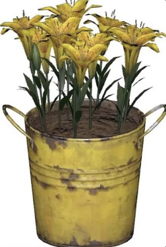 Fallout pot radlily - 76,