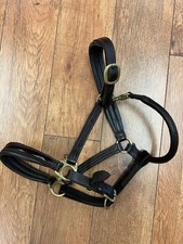 Loveson brown leather horse headcollar Cob size (used)