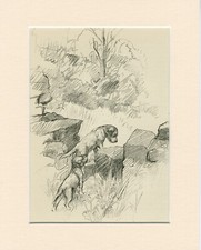 BORDER TERRIER DOGS ON WALL