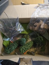 Box of Trees Twigs and Bits and Pieces for Model Railway Dioramas