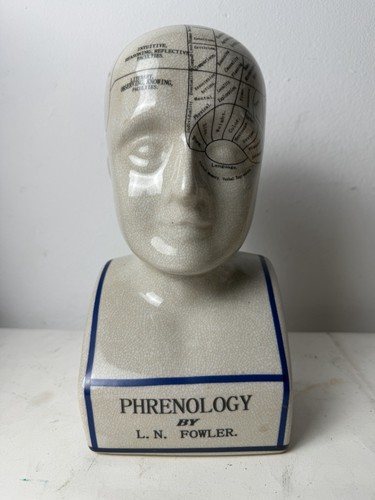 Phrenology bust fowler - bust,