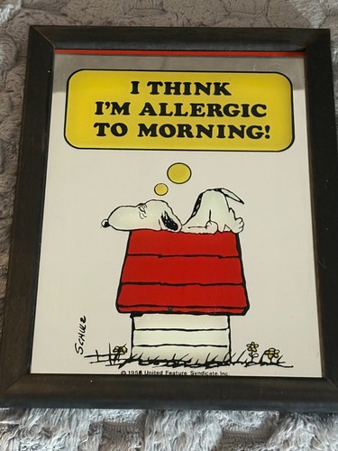 Vintage snoopy mirror peanuts - vintage,