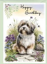 Havanese Dog (4"x 6") Birthday