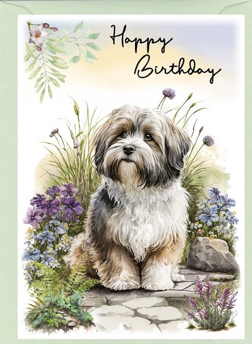 Havanese dog birthday - havanese,